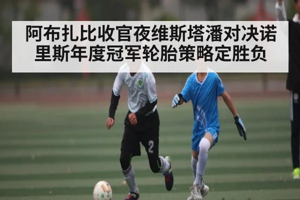 阿布扎比收官夜维斯塔潘对决诺里斯年度冠军轮胎策略定胜负